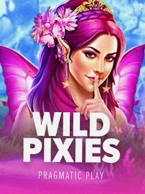 Wild Pixies at Slots Gallery